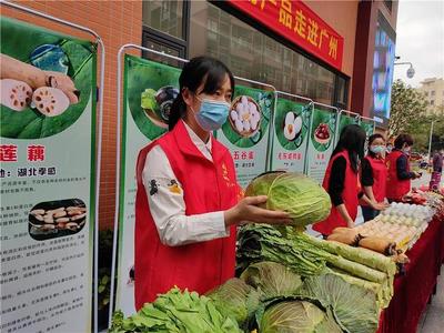廣東節后首簽湖北農副產品大單 百噸果蔬南下廣州穩定市場供應
